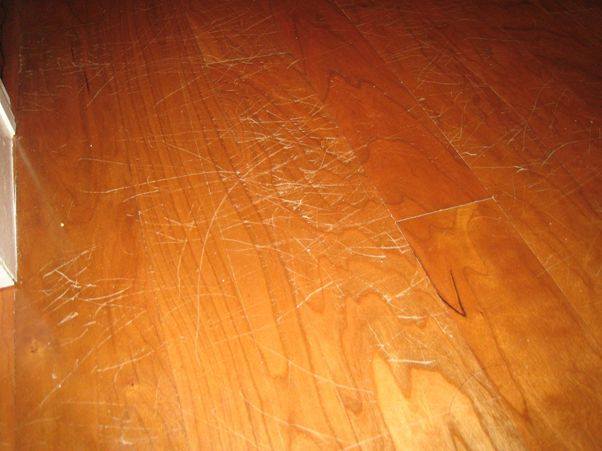 Dog Proof Kitchen Floor Ideas Dog Proof Kitchen Floor Ideas, Best Laminate Flooring For Dogs Uk